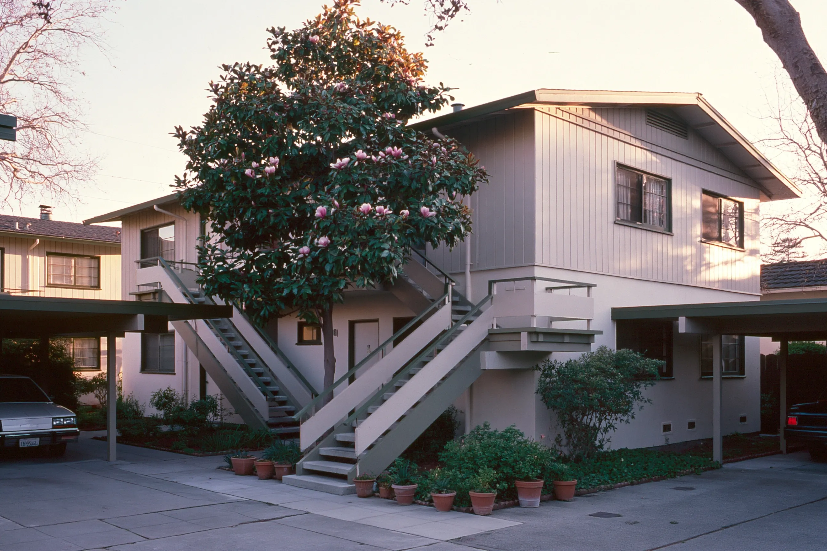 Two-story apartment building with vertical wood siding, outside stairs, carports on both sides and a flowering magnolia tree in front